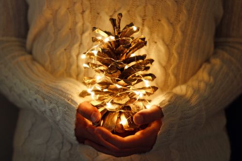 Holiday Pine Cone - Ashley Wood Law, P.C.