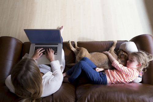 Dog with Family on Couch After Divorce - Ashley Wood Law, P.C.
