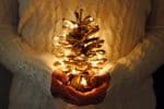 Holiday Pine Cone - Ashley Wood Law, P.C.